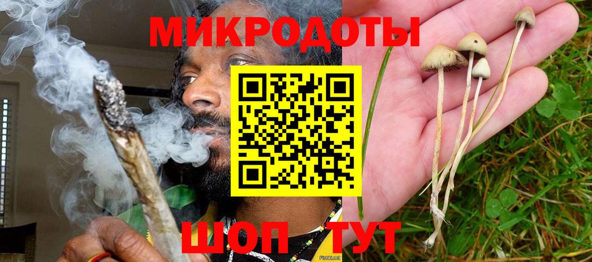 Псилоцибиновые грибы Cubensis  Вход с VPN  Псилоцибиновые грибы Magic Shrooms  Анжеро-Судженск 